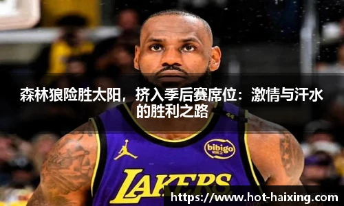 海星体育