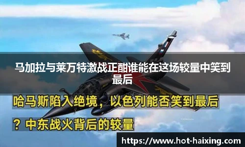 海星体育